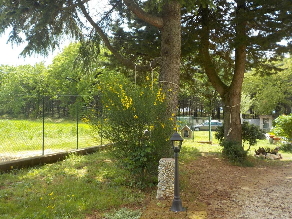 B&B Il Pizzagiallo Massa Martana Exterior foto